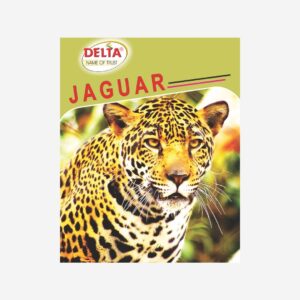 Long Notebooks Jaguar